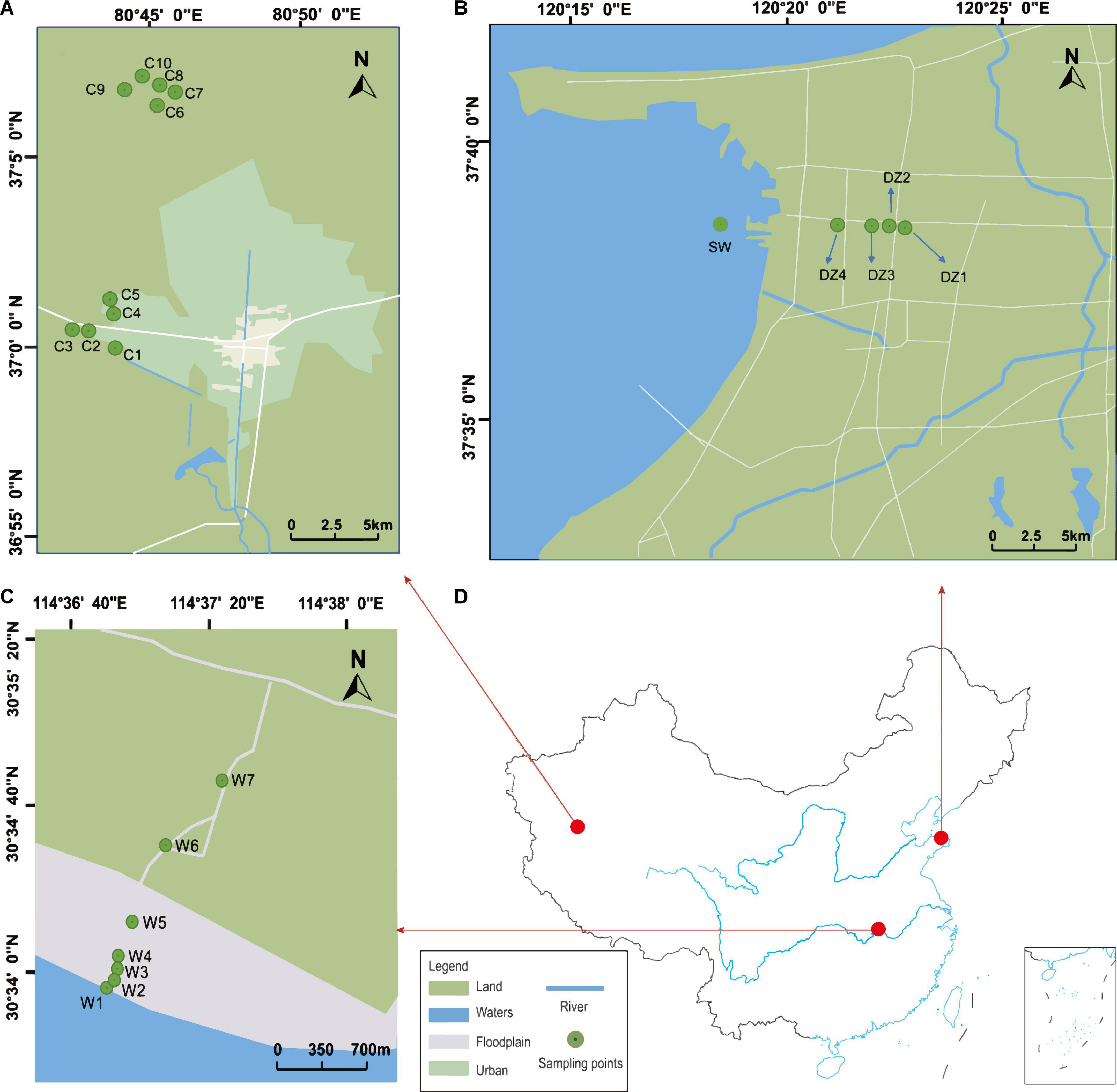 Microbial community structural response to variations in physicochemical features of different aquifers